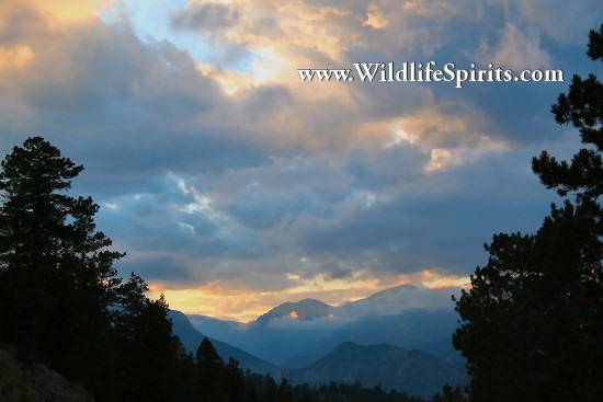 Click Picture to send as an  E-PostCard 57k 550x367